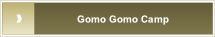 Gomo Gomo Camp.