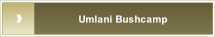 Umlani Bushcamp.