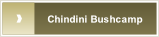 Chindini Bushcamp.