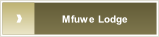 Mfuwe Lodge.