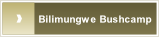Bilimungwe Bushcamp.