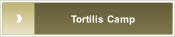 Tortilis Camp.
