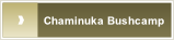 Chaminuka Bushcamp.