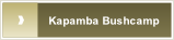 Kapamba Bushcamp.